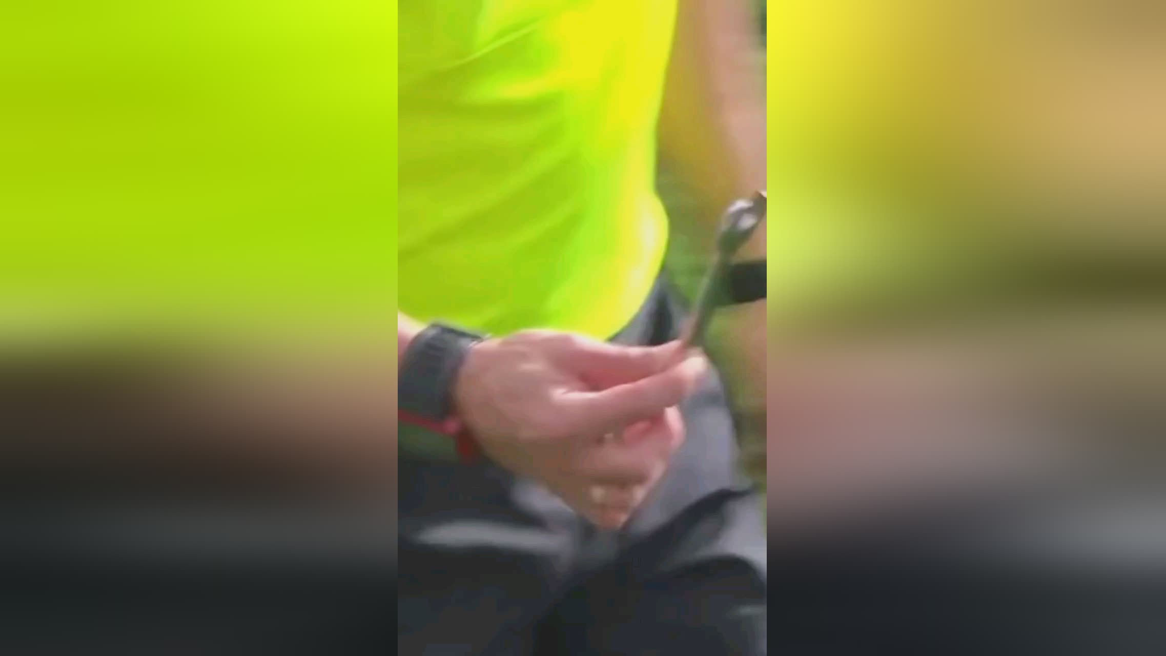 他对